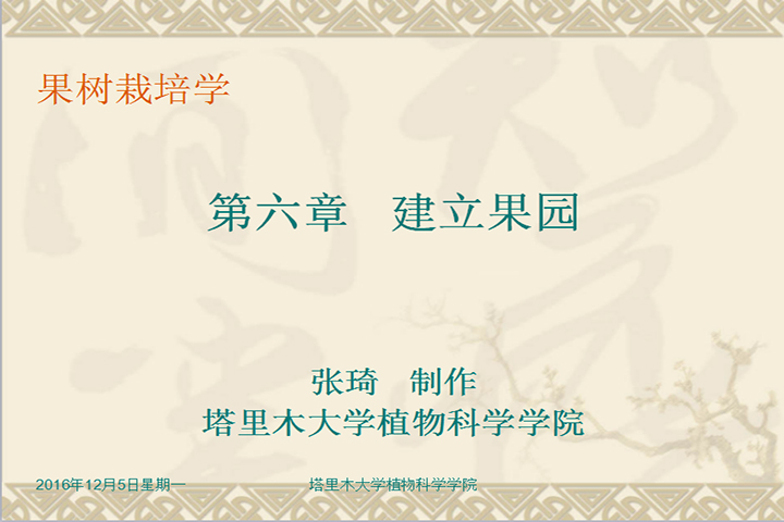 第六章 建立果园