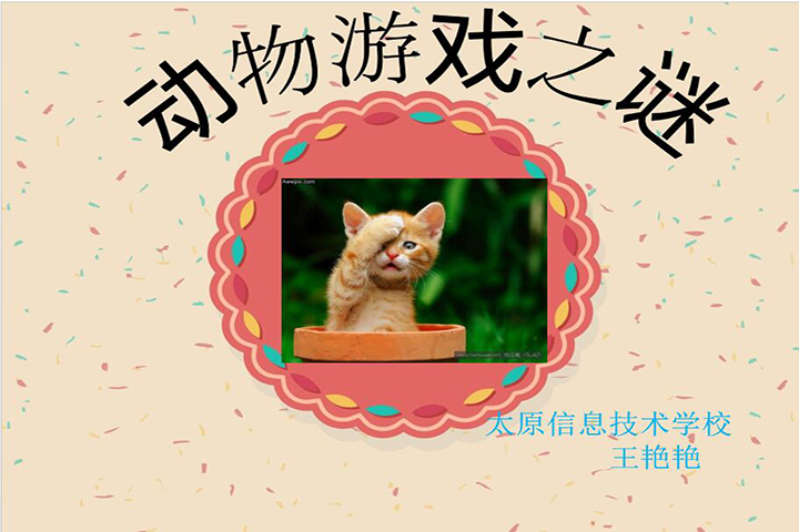 动物游戏之谜